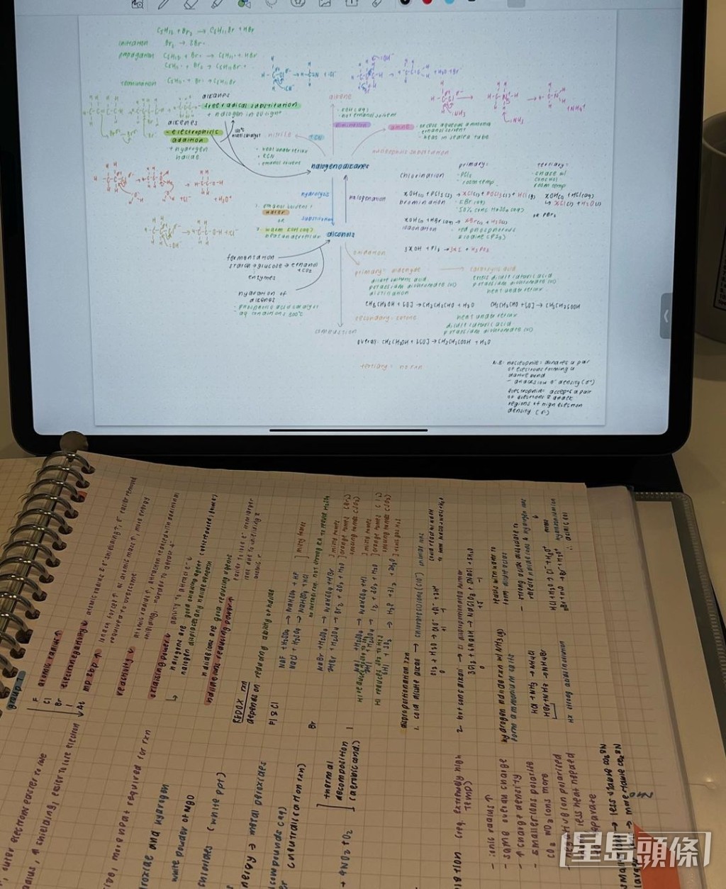任晴佳帶齊功課及筆記，字體更獲網民讚靚。