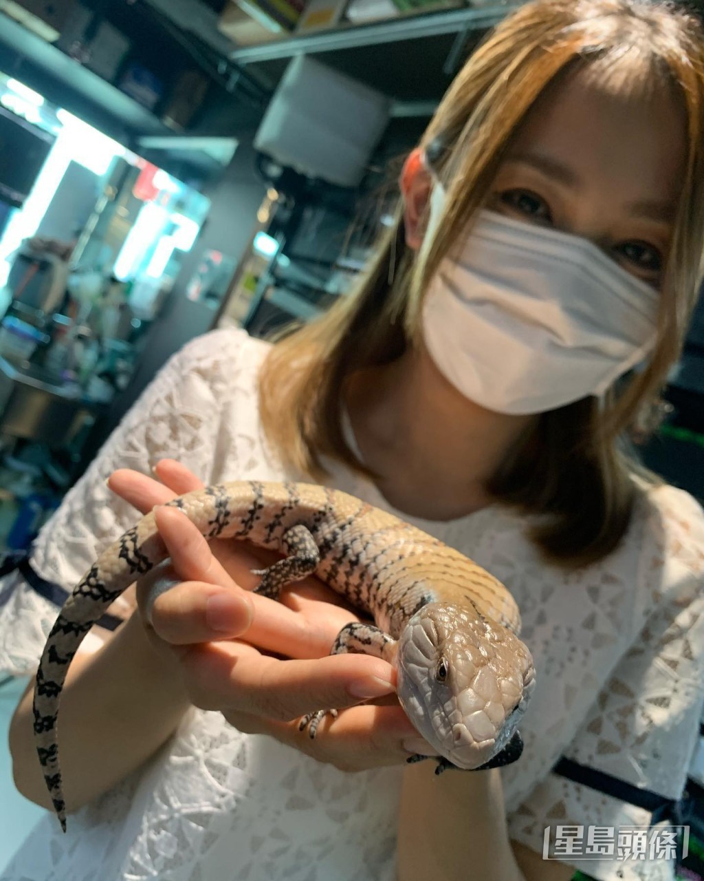 林善懿好大膽。