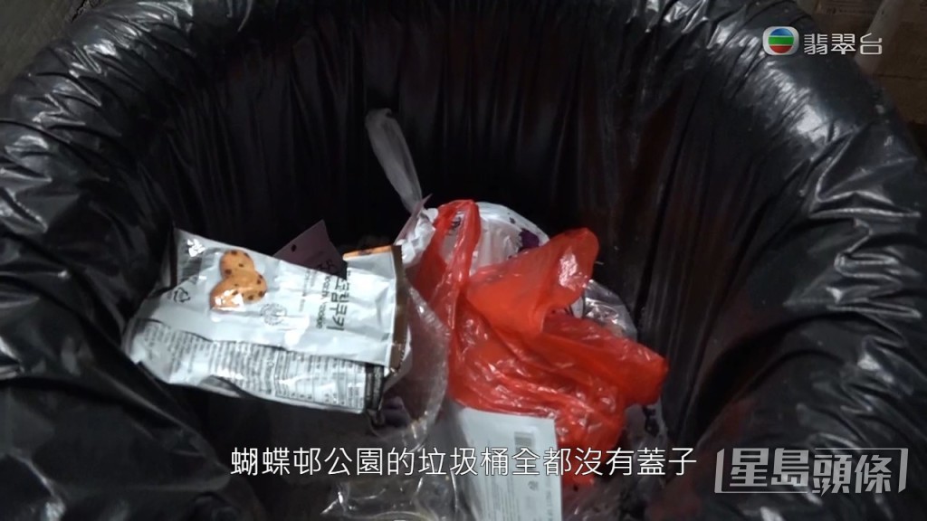 而且蝴蝶邨垃圾筒全是開放式，老鼠同樣自出自入搵食。