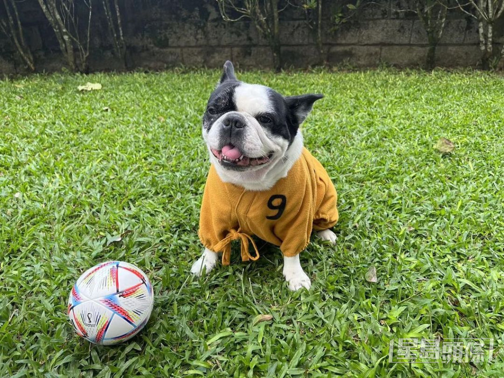 愛犬Kio化身少林足球隊員。