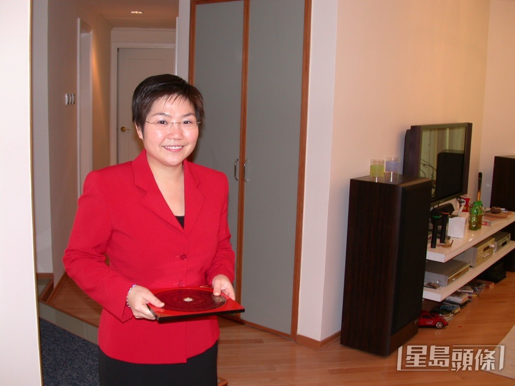 麥玲玲早年曾任秘書、文員,1996年轉行做全職風水師,客戶包括地產公司及證券行等。