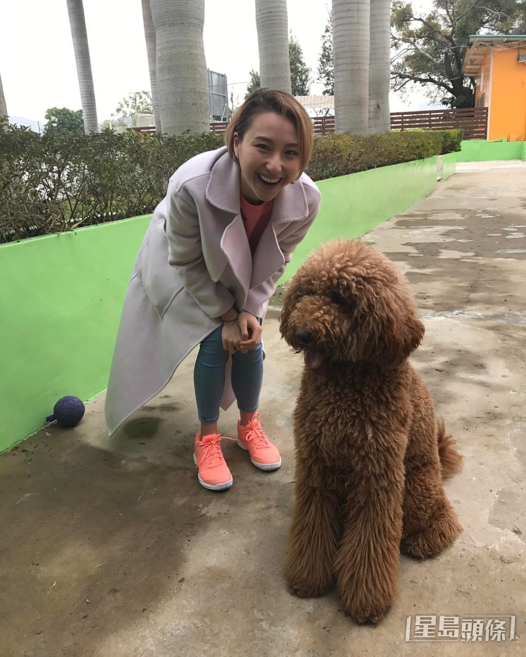 何超雲戀得低調,未婚夫是普通打工仔引來網民討論。