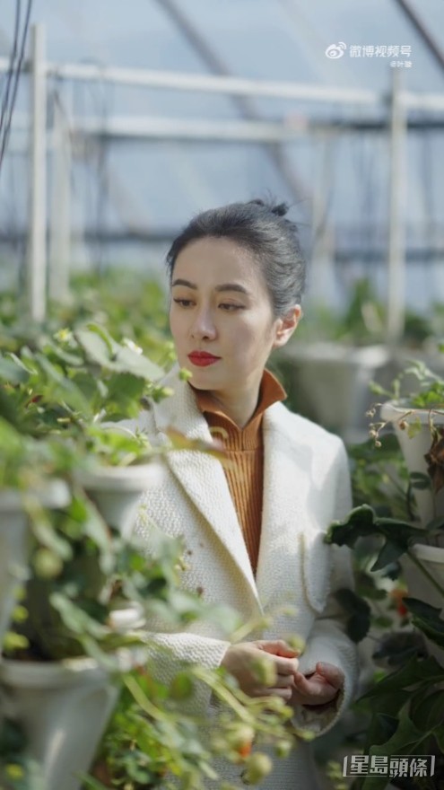 葉璇再現古典美人風采。