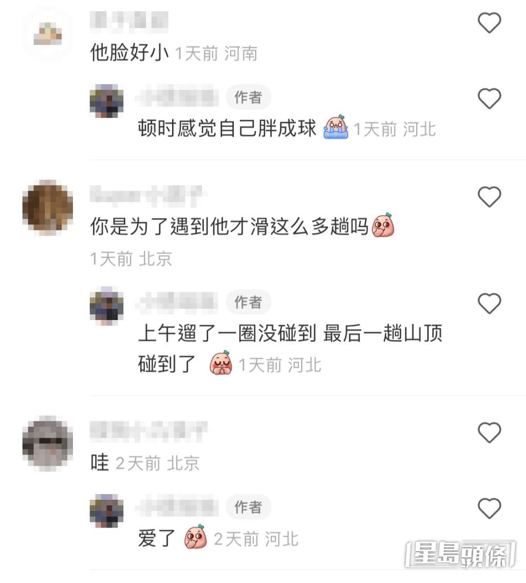 不过不少网民纷纷留言狠批谢霆锋没戴头盔滑雪。