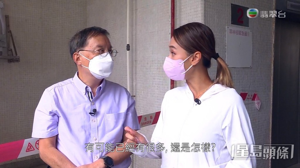 專家指白蟻唔可以噴殺蟲水就算，因為難以杜絕白蟻。