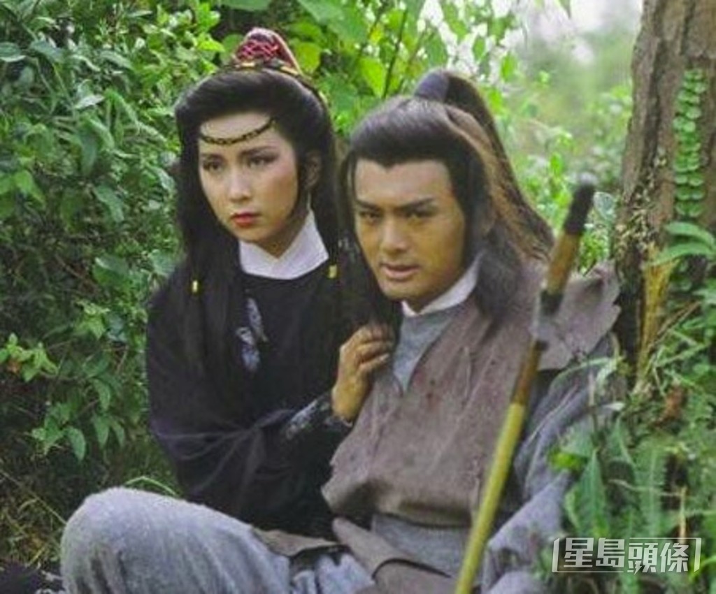在劇集《笑傲江湖》中飾演任盈盈，與周潤發合作。