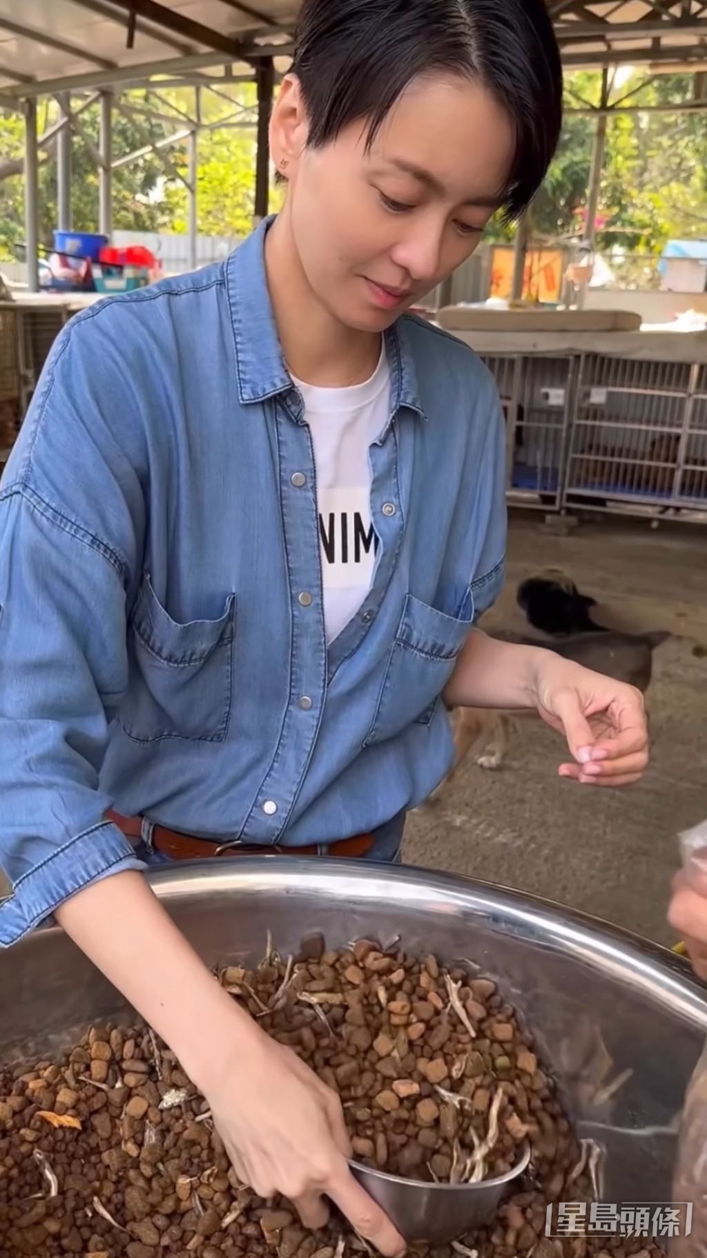 粉絲們大讚梁詠琪人美心善。