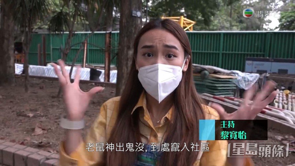 《東張》主持黎寬怡走訪屯門蝴蝶邨，現察視察當地鼠患情況。