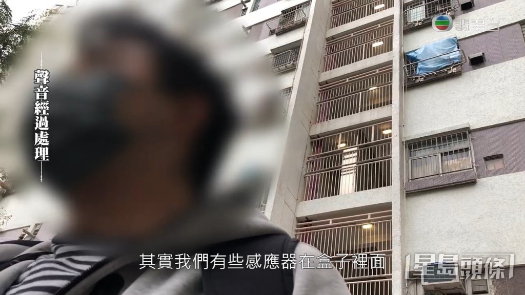 職員同時指有設置感應器，觀察老鼠的活躍度。