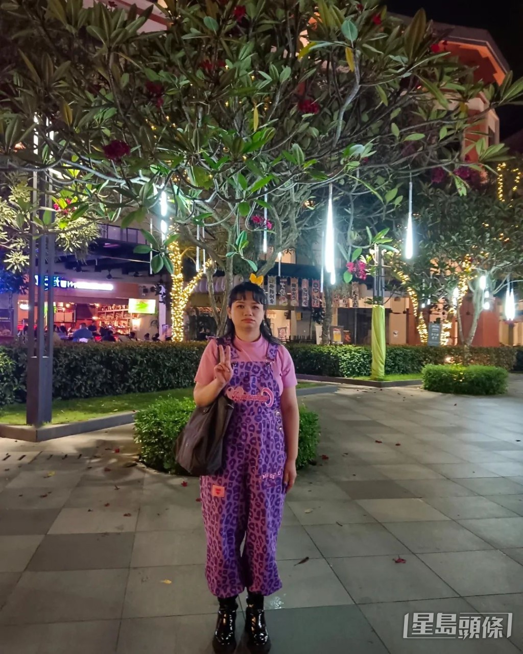 阿儀大馬來西亞都有觀光。