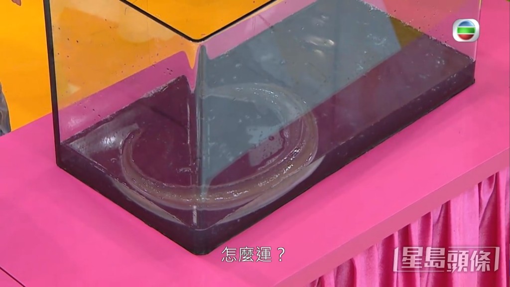 陳法蓉守尾門。