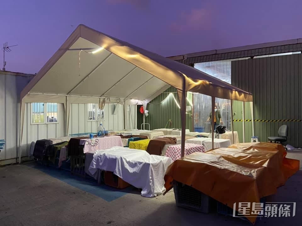 浪浪一度準備撤離。