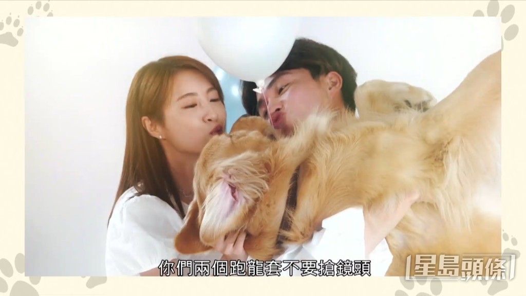 《寵愛Pet Pet》以獸醫作主題,有不少可愛動物出現!