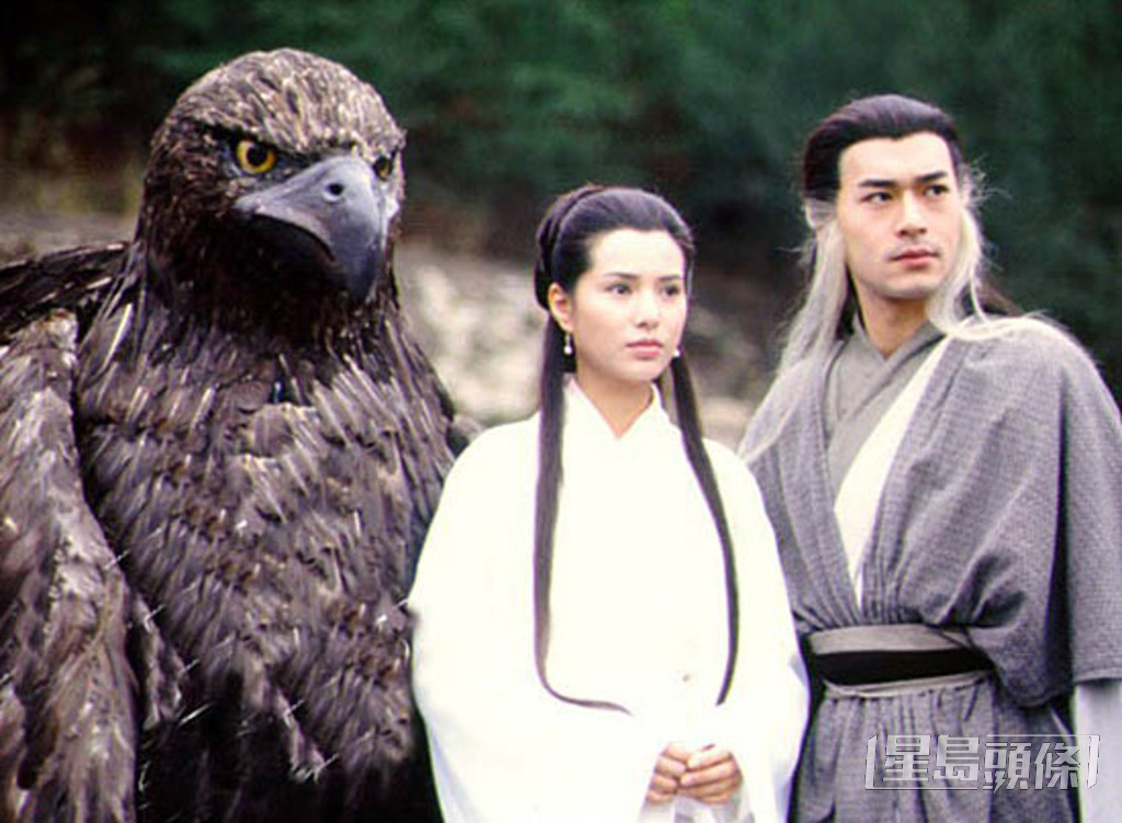 李若彤1995年與古天樂演出無綫劇《神鵰俠侶》，更獲得金庸讚賞。