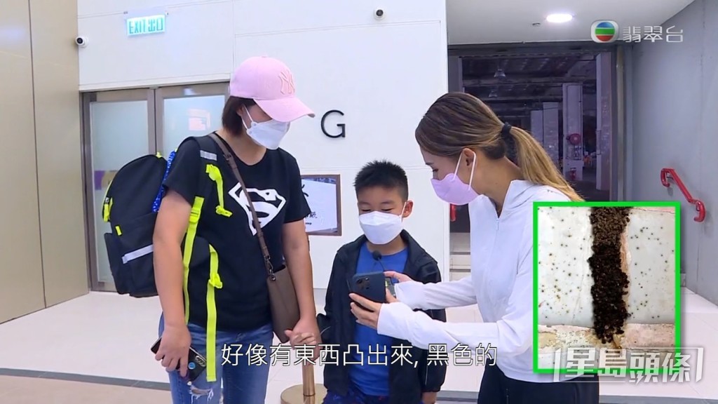 有街坊驚訝一向只以乾木及紙為食的白蟻，竟然會停留在石屎縫隙長達幾個月。