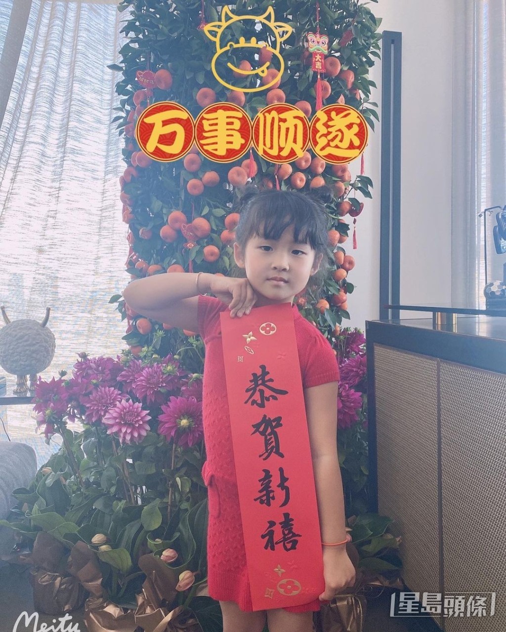 間屋咁大，大把地方影靚相喇！