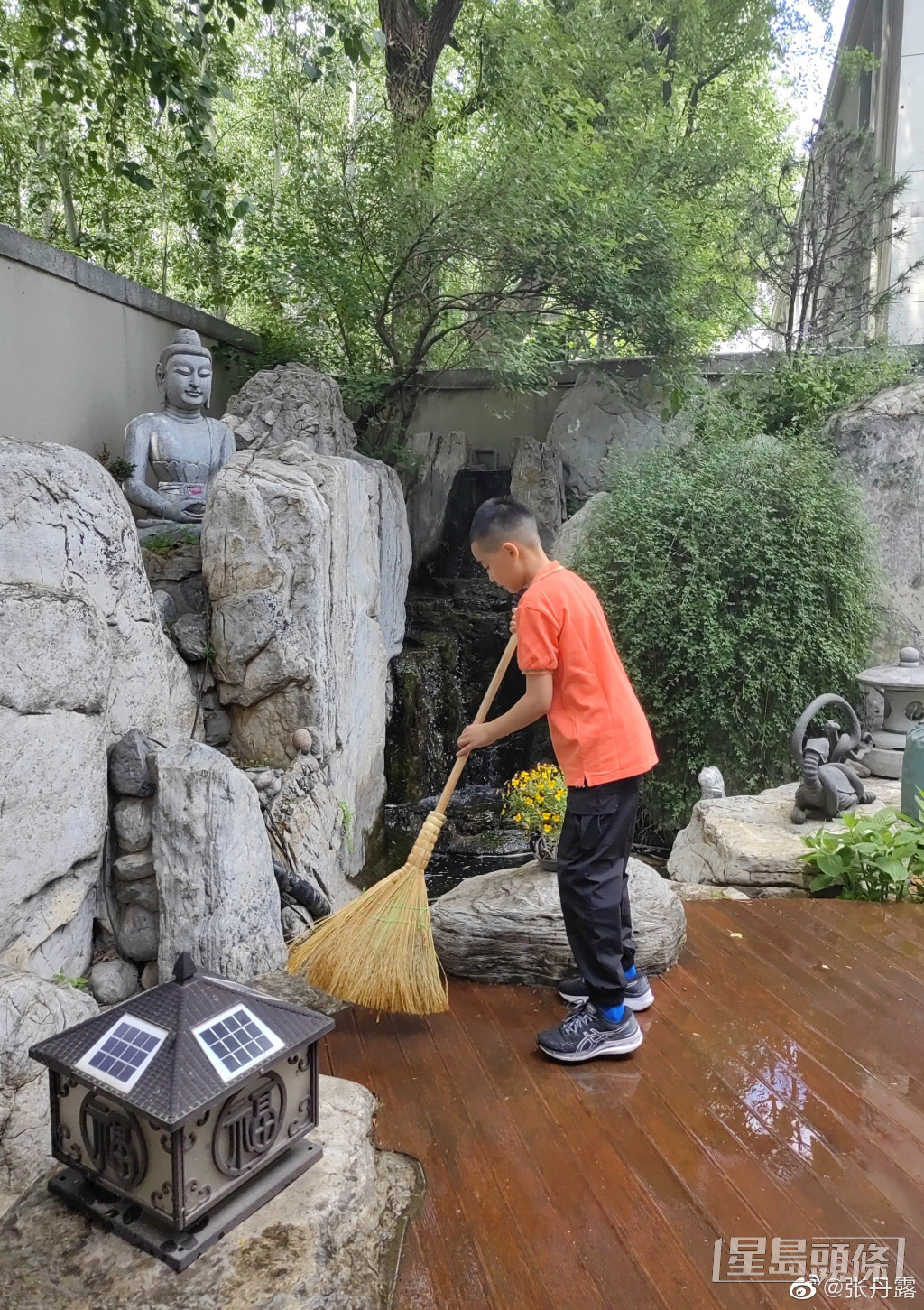 想不到趙家有「掃掃掃」這嗜好。