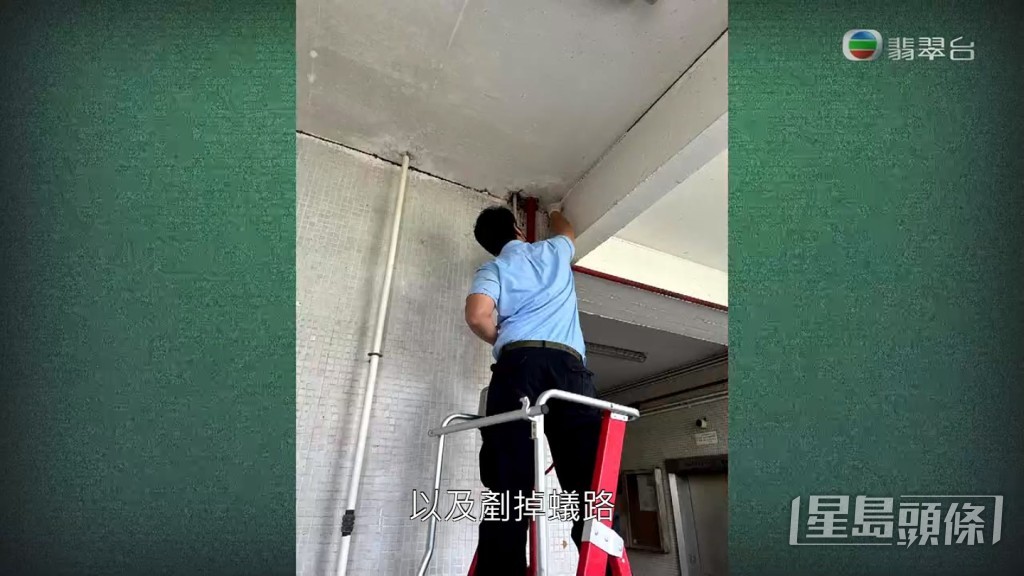 《東張西望》向管理公司查詢，對方指已經請滅蟲公司派人清除了現場的白蟻。