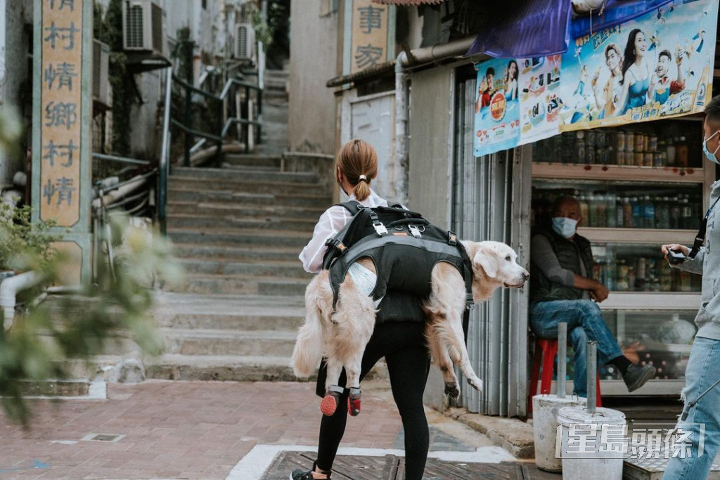 李旻芳曾每日孭住行動不便的狗狗散步。