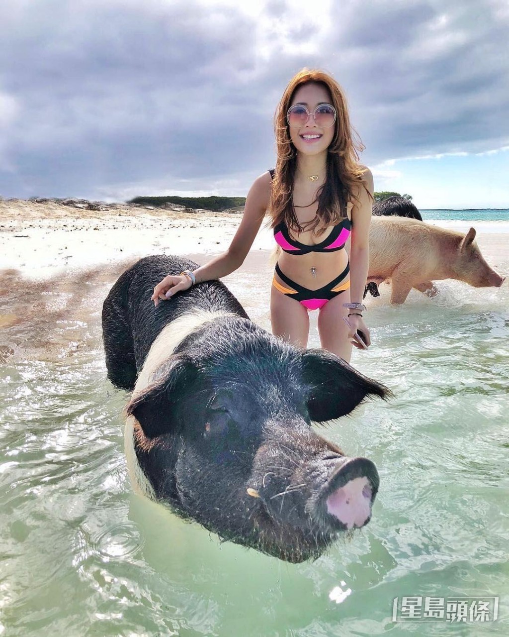 同動物一齊影。