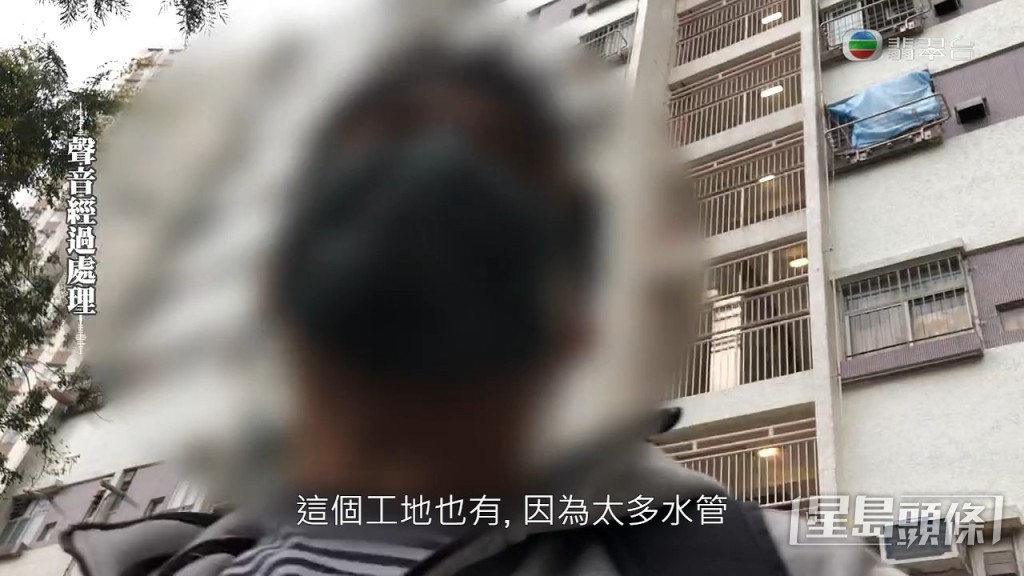 同時指出附近的臨時地盤有太多水管，方便老鼠匿藏。
