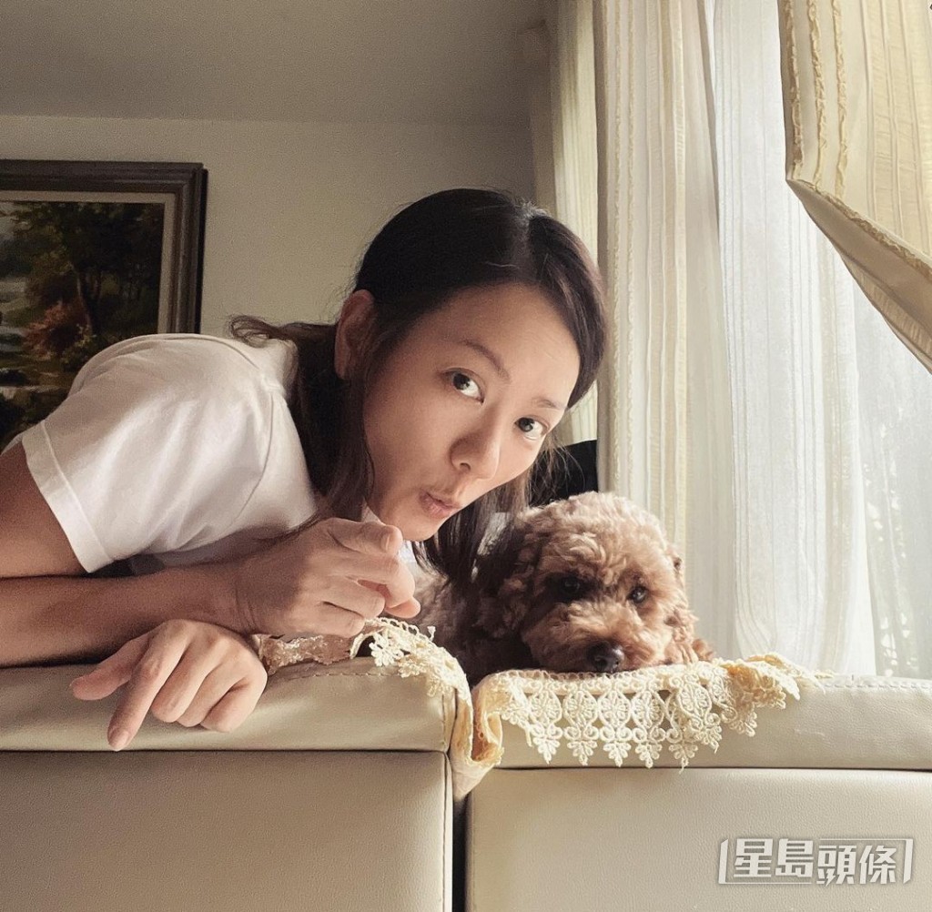 簡慕華接受傳媒訪問指,今次報讀寵物美容全因興趣。