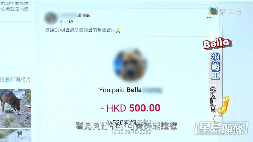 Bella反駁指並冇利用狗狗籌款：「我哋絕對冇，全部都係有心嘅愛心人士，見到小可愛同阿仔搞到咁，先至願意資助佢哋睇醫生，係自發性嘅。」