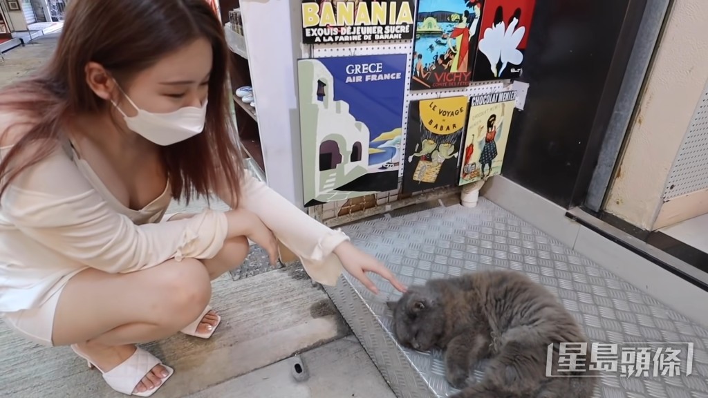 素海霖玩貓。