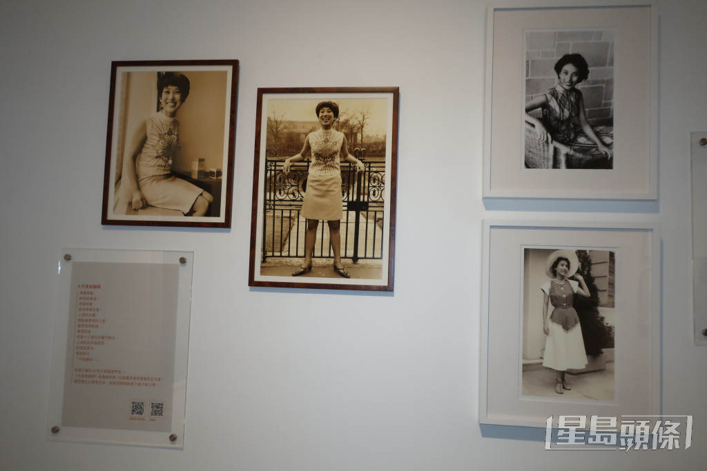 潘迪華今年已經91歲，去年12月至1月有藝術機構舉行的「潘迪華．花弄影．珍藏相片展」，展出多張潘迪華珍藏相片。