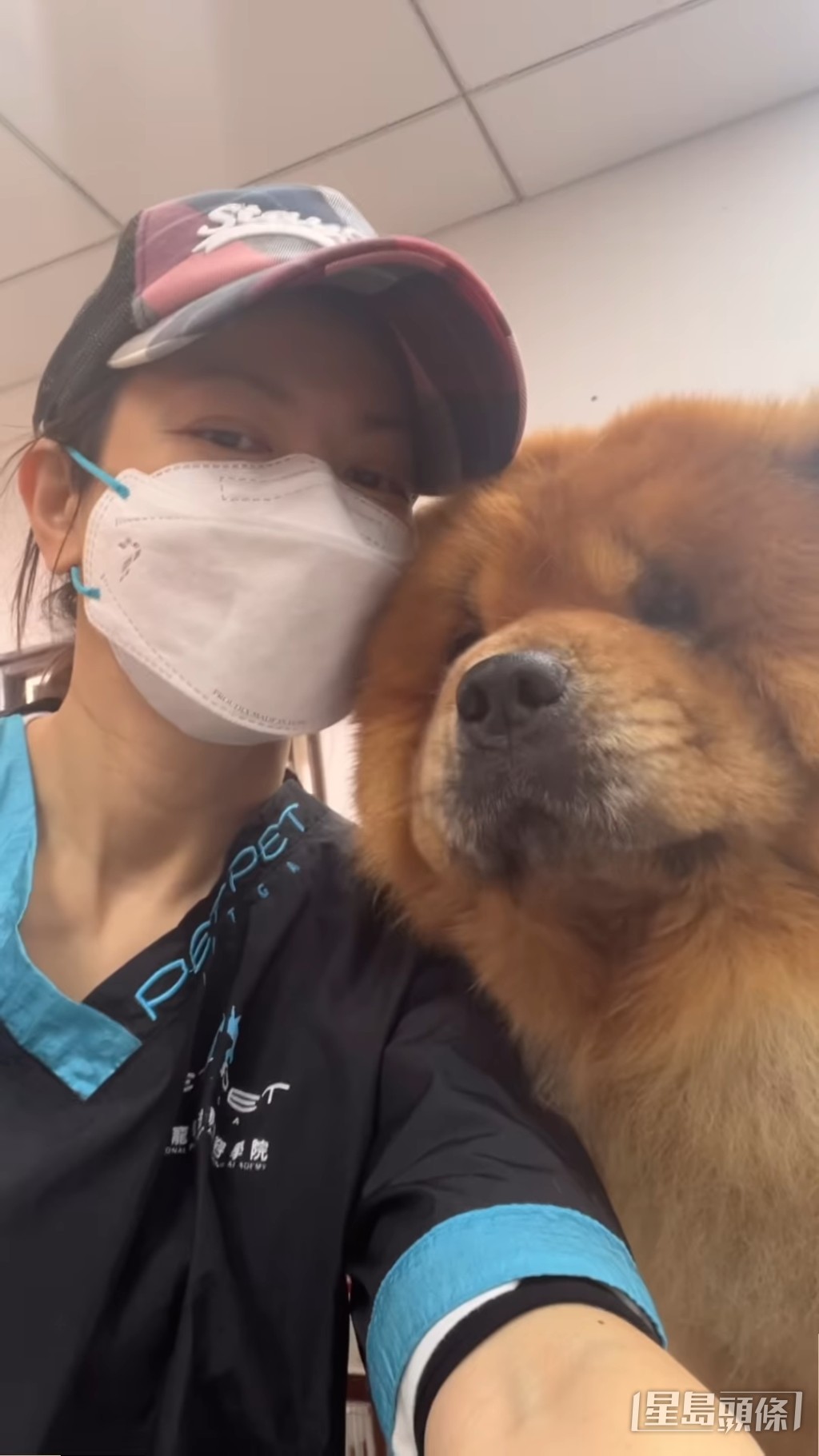 大狗都搞得掂。