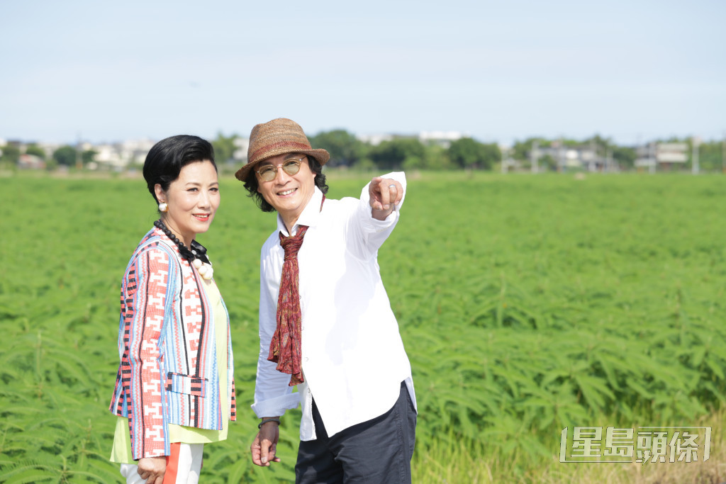 2015年的《華麗轉身》，《華》亦是劉松仁最後拍的無綫劇集。