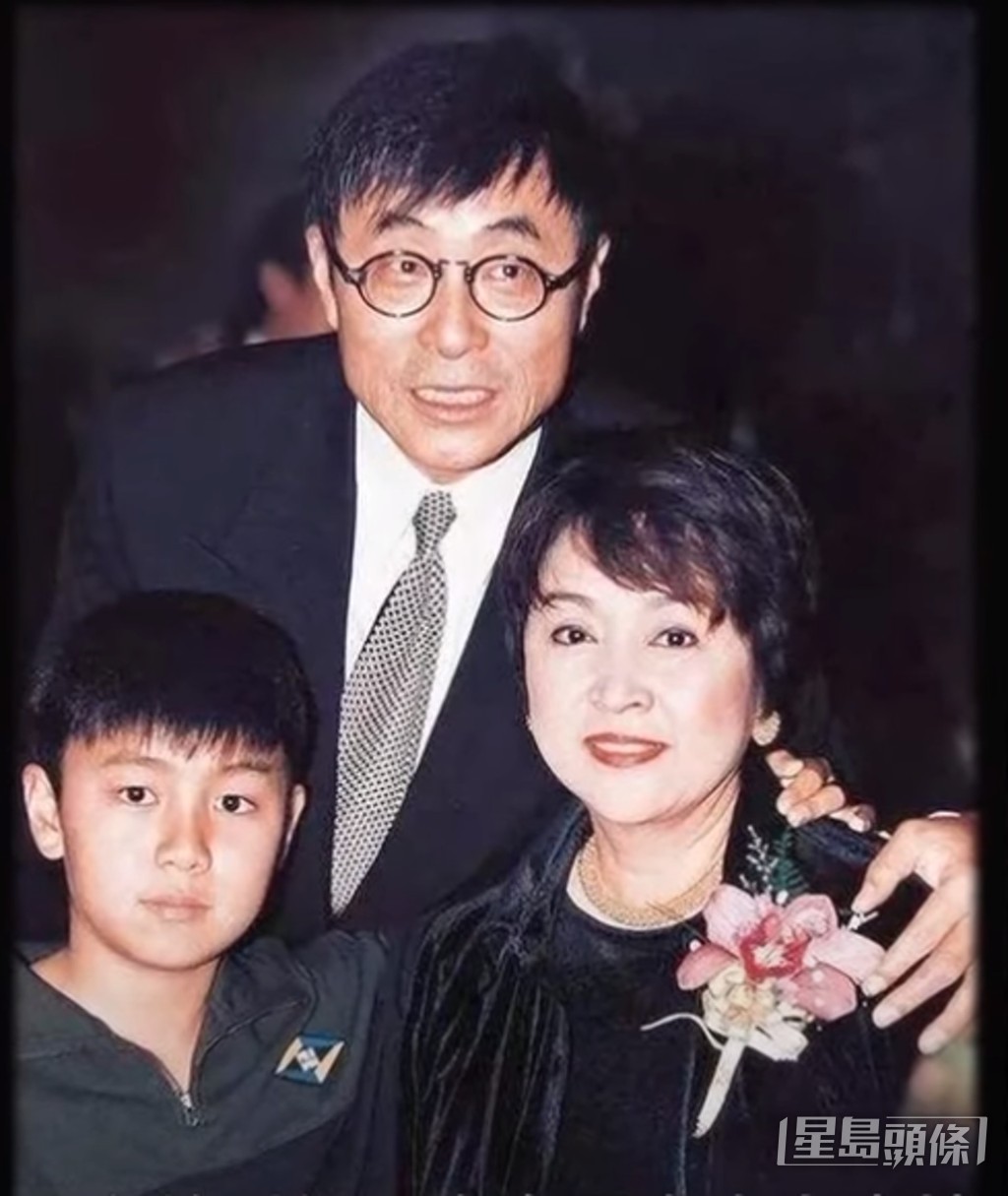 有指甄珍受不了劉家昌好賭的習慣,最後為保護兒子,在1987年向劉家昌提出離婚,結束8年的結姻。