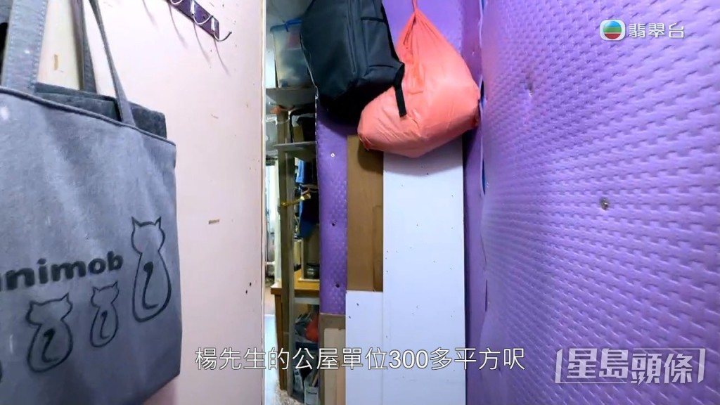 二人住在300多呎的公屋單位。