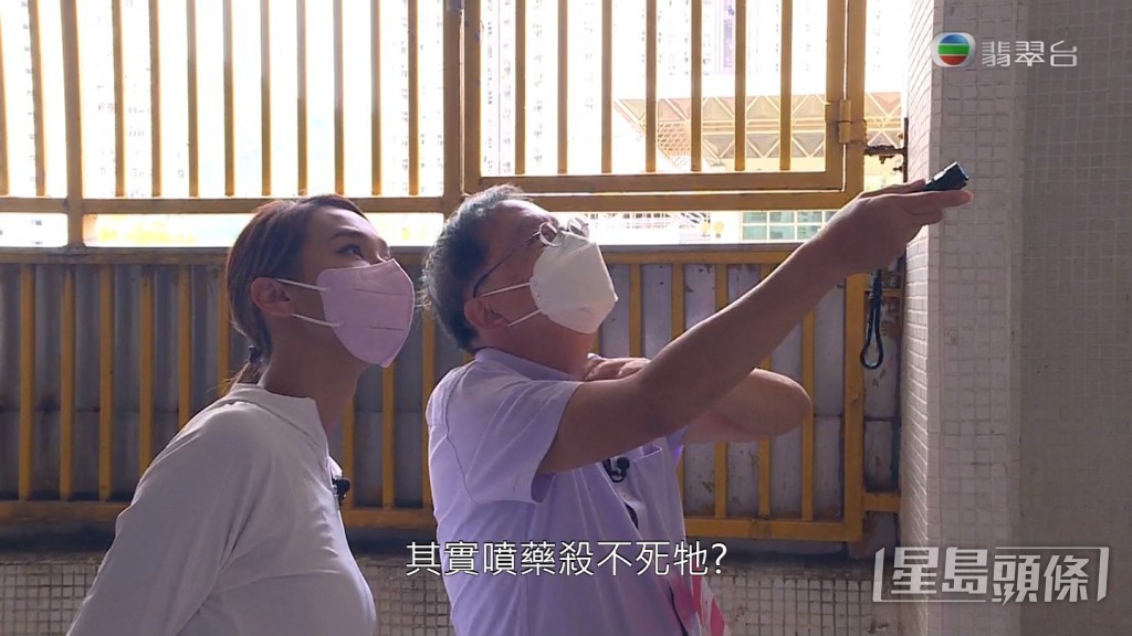 《東張西望》再到現場觀察，白蟻路已經冇咗。