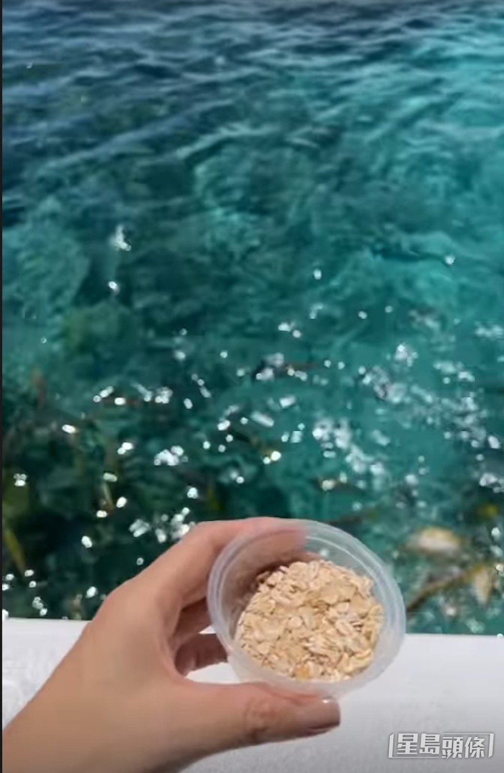 两母子一齐喂鱼。