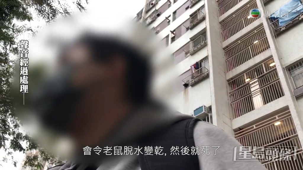 不過原來房署老鼠藥並無毒性，而是令老鼠脫水變乾死亡。