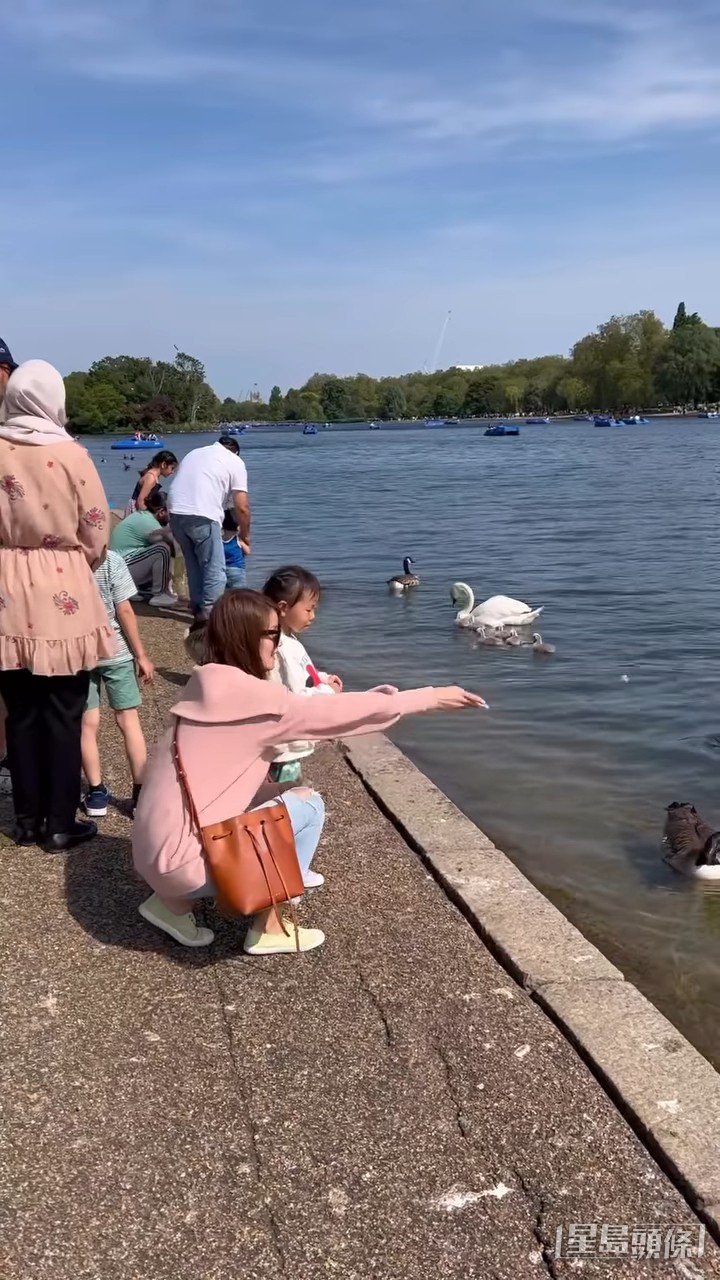 湊囡囡去餵天鵝。