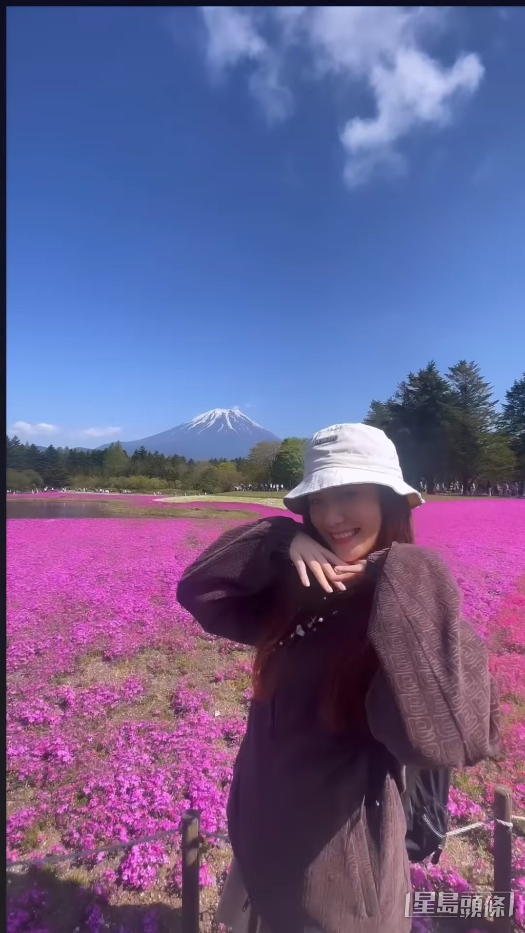 轉到富士山賞櫻。