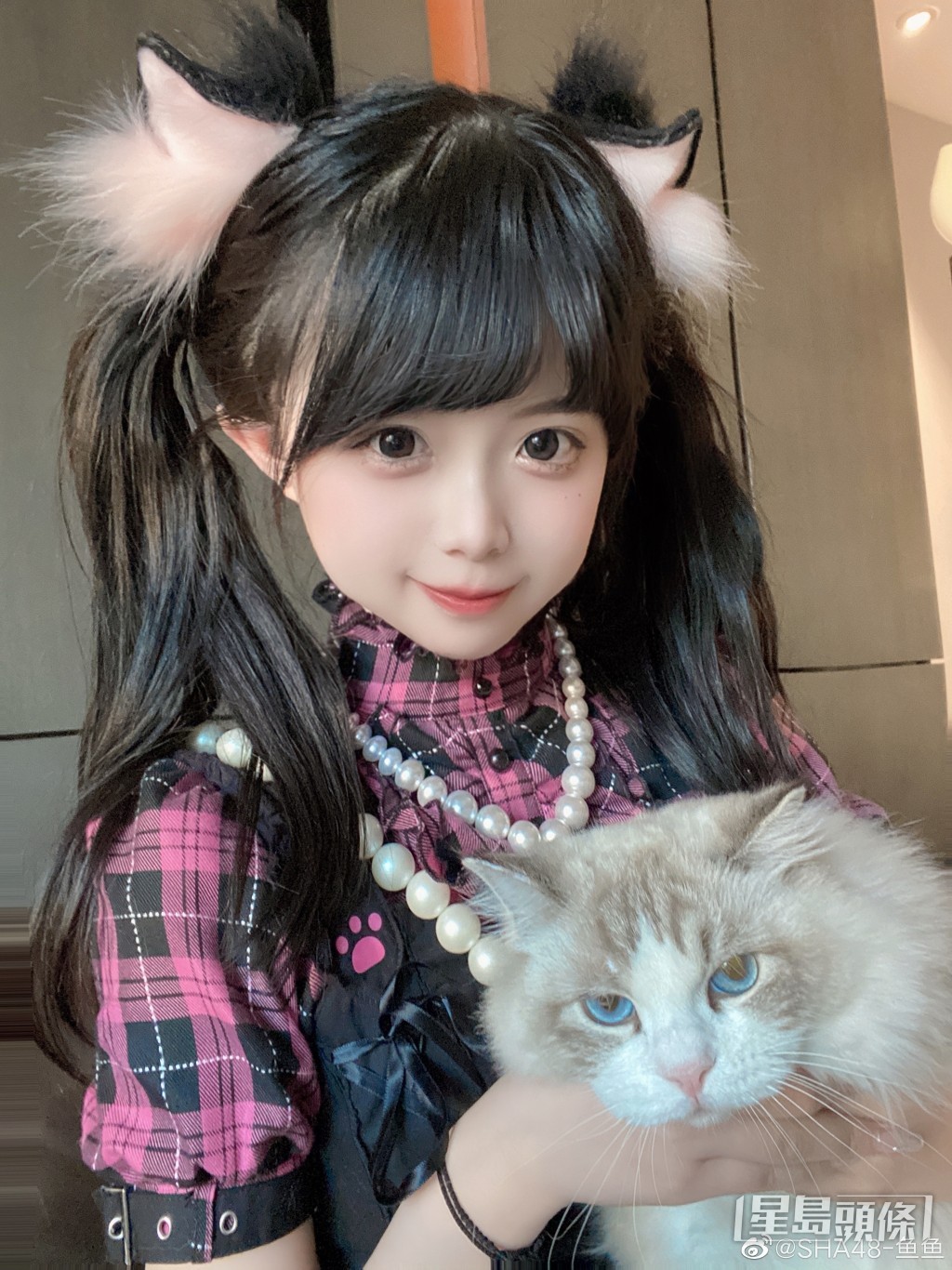 鱼鱼