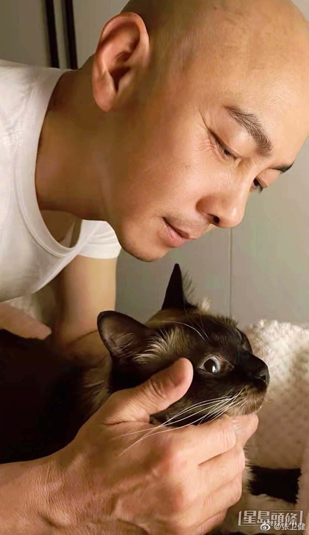 張衛健係出名嘅愛妻號。