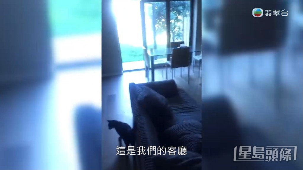 一片直落由廳開始。