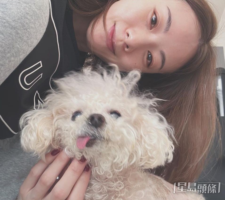 能令Stephy牽掛除了媽咪,便是愛犬年糕。