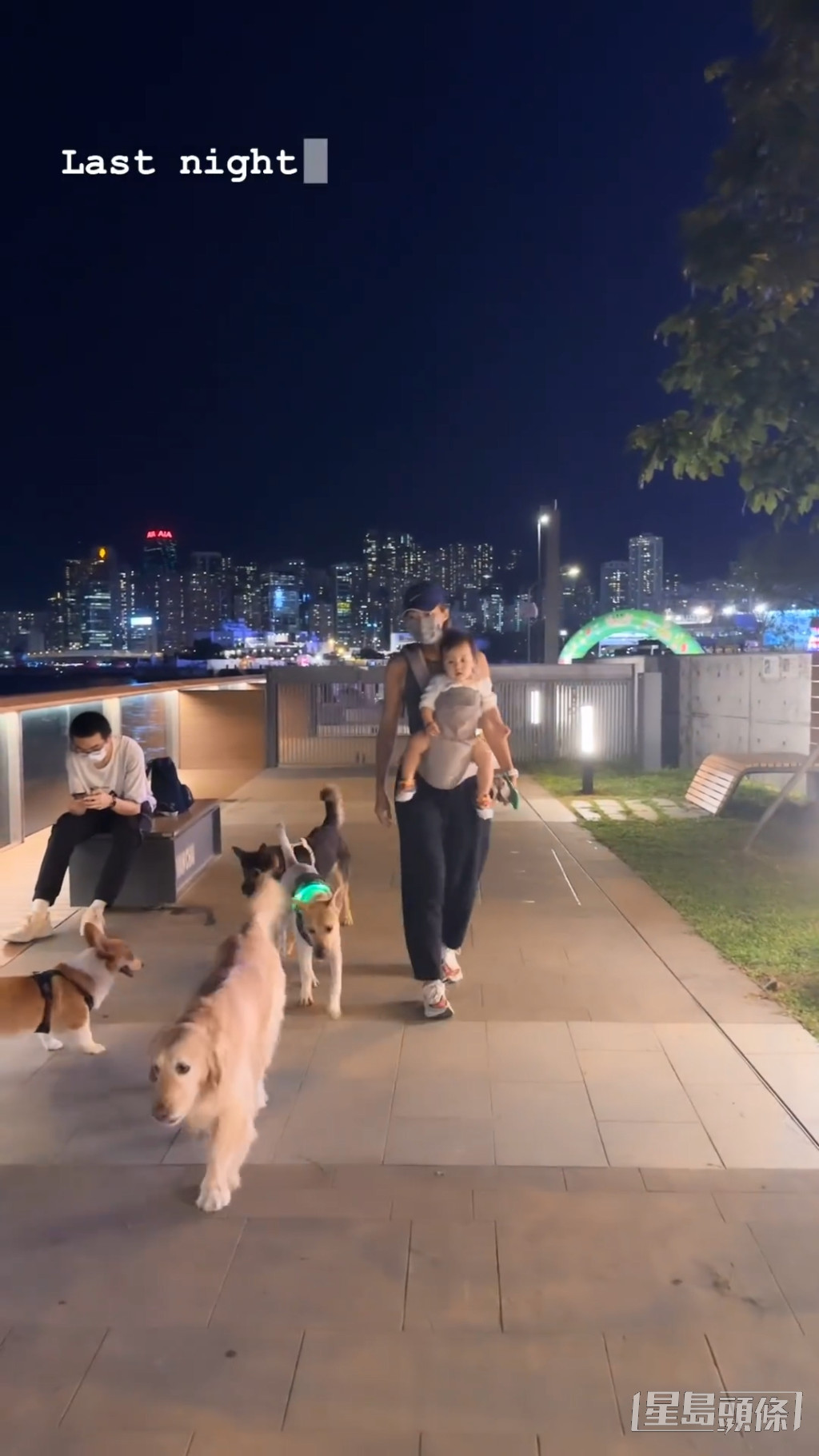 梁诺妍又贴出孭住囡囡散步的短片，更有3只大狗护驾。