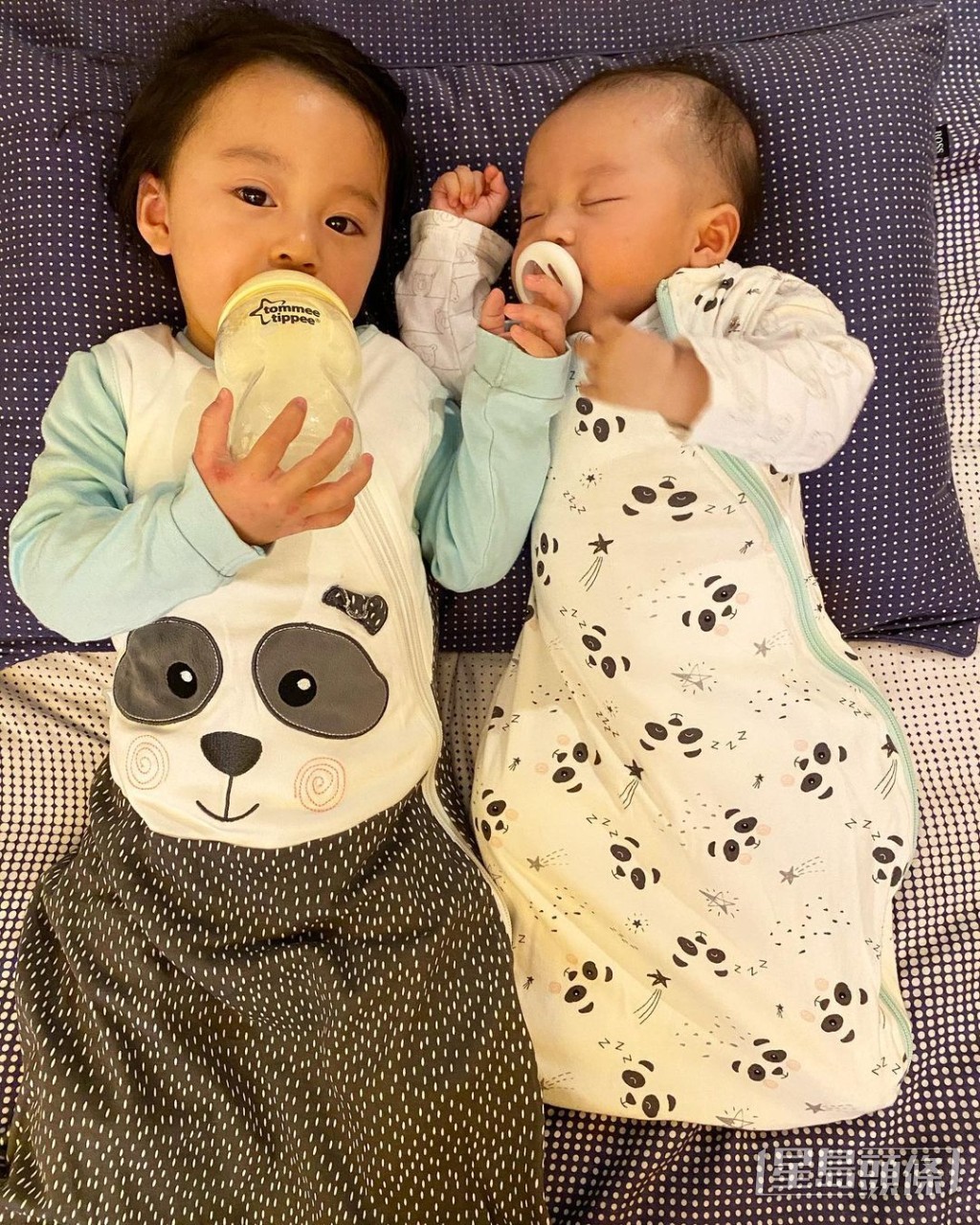 Meghan同細佬一齊飲奶。