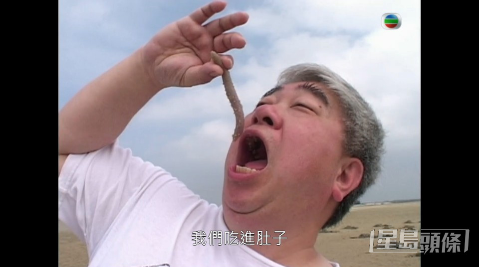 韜韜早年主持TVB飲食節目《日日有食神》而為人熟悉。