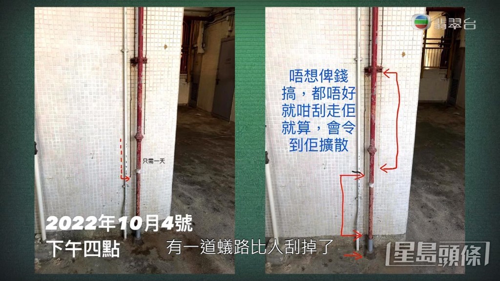 事件在將軍澳街坊的facebook群組引起討論，更有街坊隔一排就更新白蟻路的最新情況。