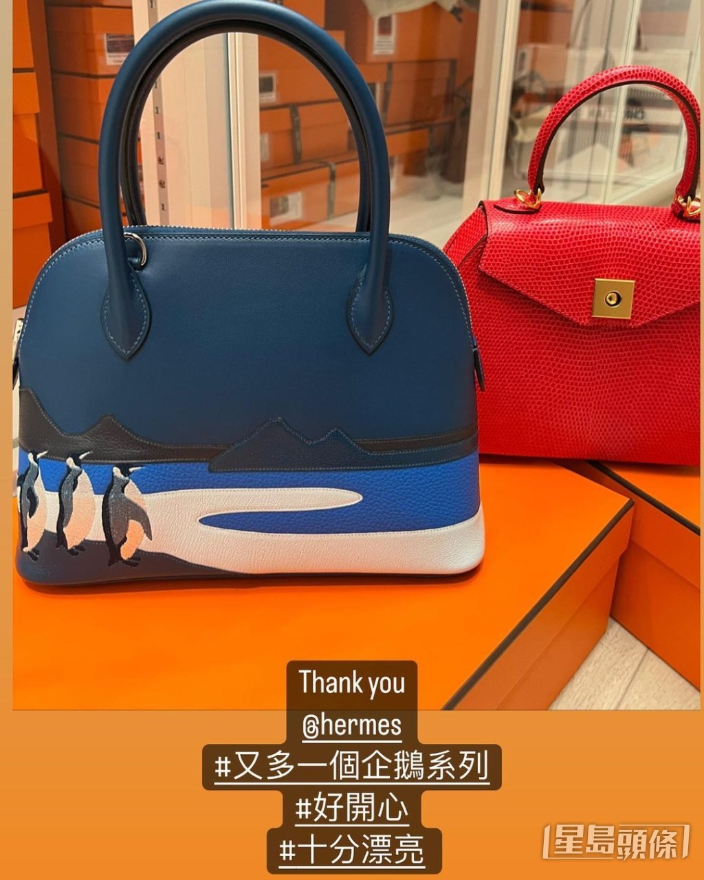 熱愛企鵝的甘比有不少企鵝系列的Hermès珍藏品,晒袋之餘更見到背後有多個Hermès橙色盒!