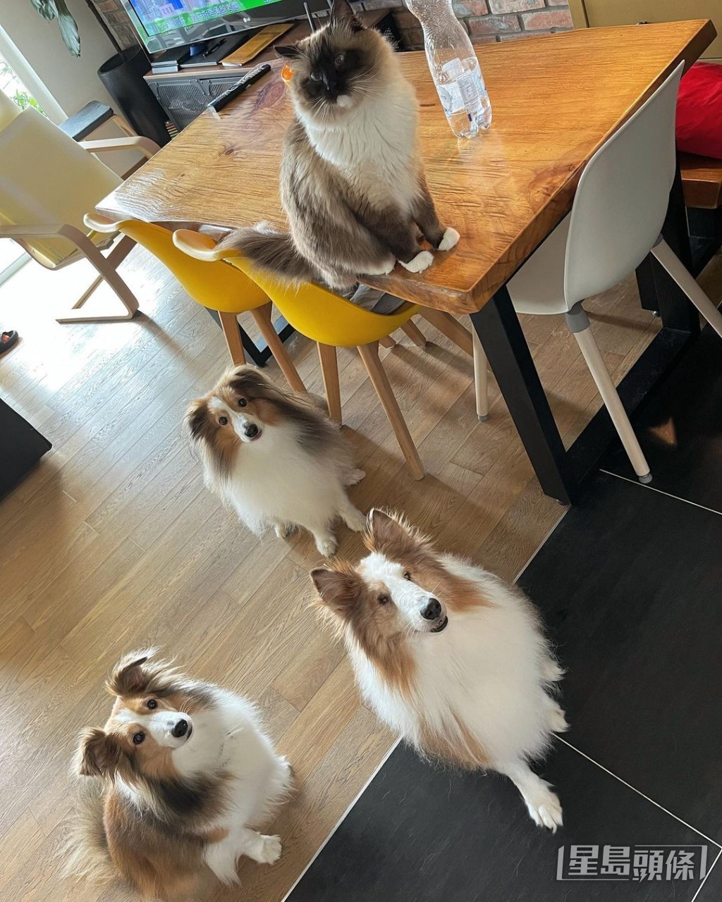 好有爱心！
