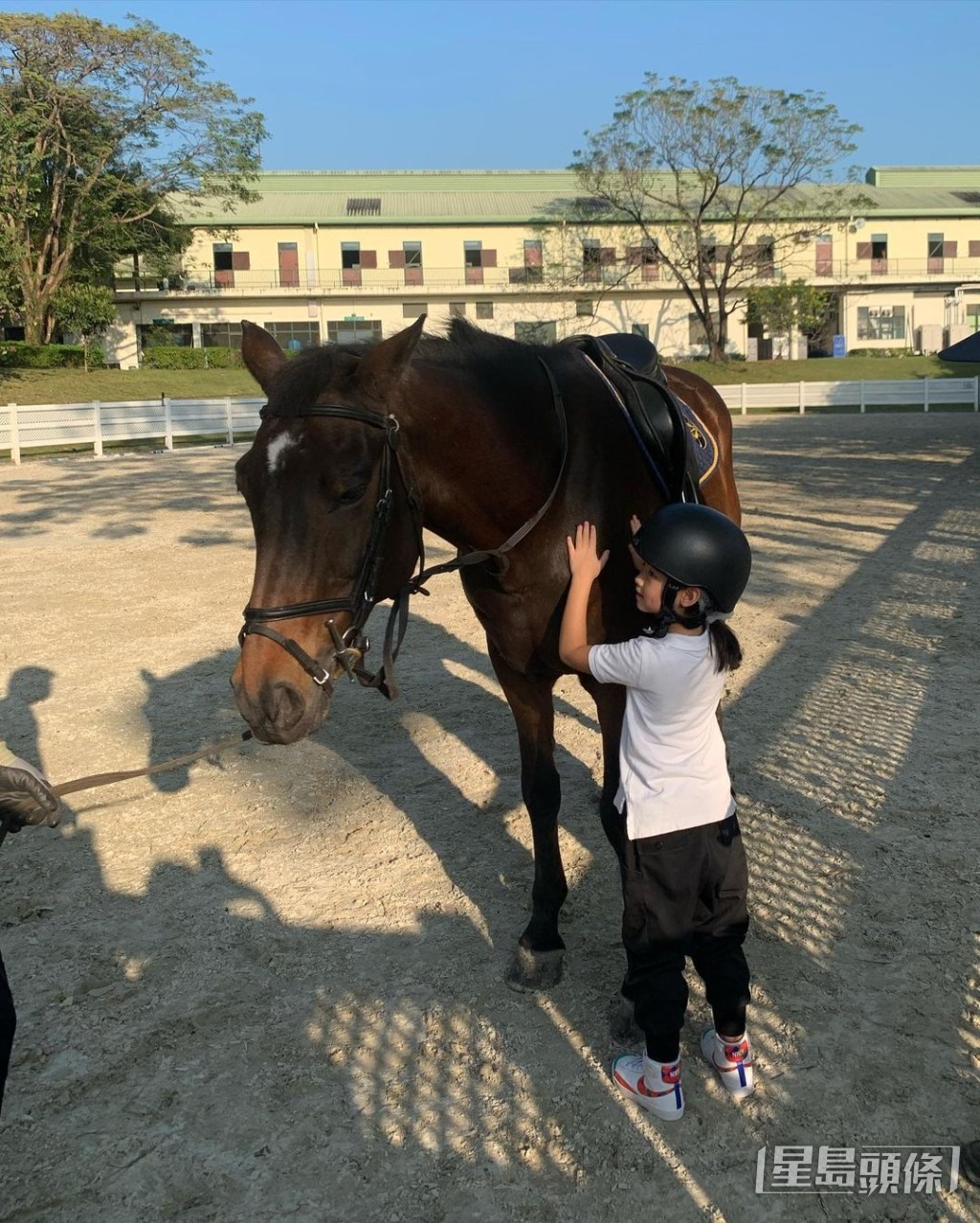 陳爽囡囡都有學騎馬。