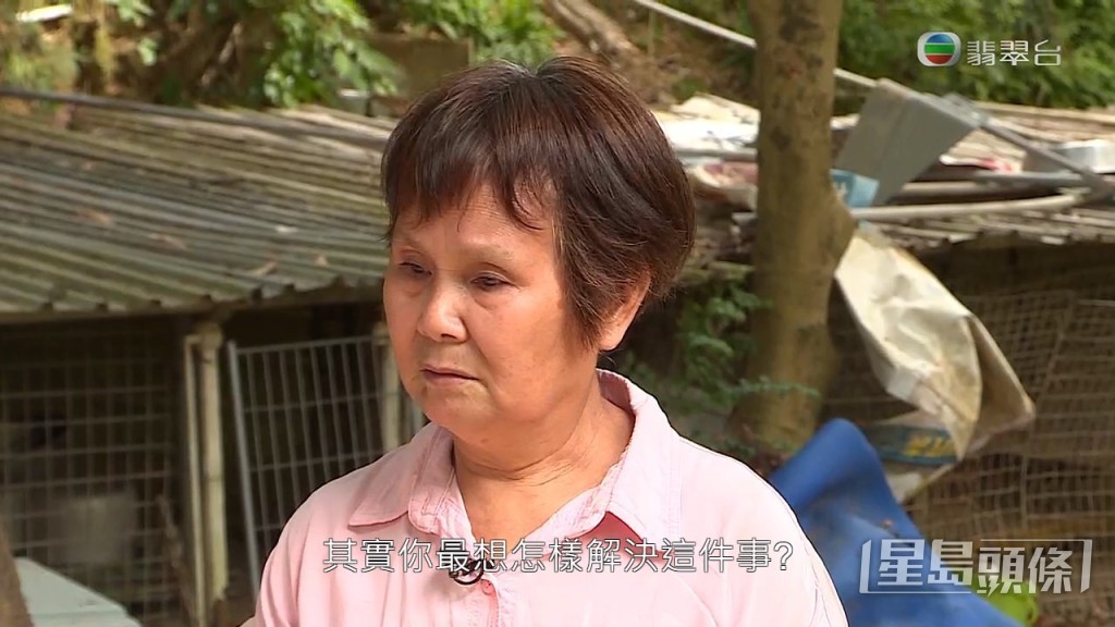 蘭婆婆堅持想拎返狗狗：「我乜嘢都唔理唔追究，總之你畀返我就得。佢生蟲，我就搵啲鐵絲網封住佢，啲狗就入唔到去。」